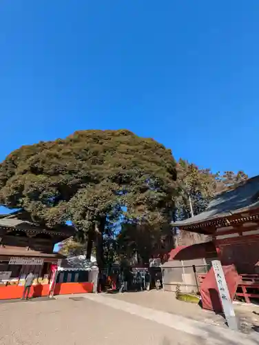 大前神社(栃木県)