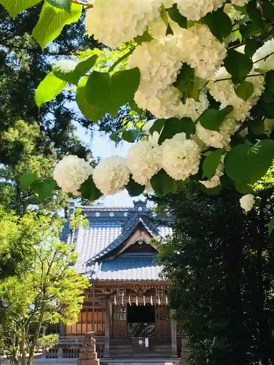安田八幡宮(新潟県)