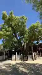 石切劔箭神社(大阪府)