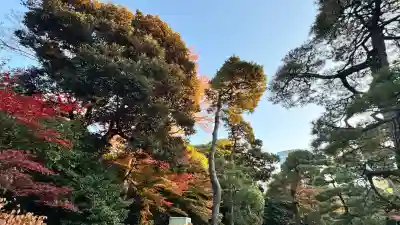 【閉業】小石川大神宮の{uncategorized: "未分類", other: "その他", undefined: "問題あり", building: "その他建物", grave: "お墓", sacred_gate: "鳥居", guardian: "狛犬", statue: "像", buddha: "仏像", history: "歴史", nature: "自然", garden: "庭園", animal: "動物", pagoda: "塔", temizu: "手水舎", mountain_gate: "山門・神門", sanctuary: "本殿・本堂", subordinate: "末社・摂社", art: "芸術", scenery: "景色", jizo: "地蔵", ema: "絵馬", goshuin: "御朱印", omikuji: "おみくじ", items: "授与品その他", amulet: "お守り", goshuincho: "御朱印帳", eats: "食事", festival: "お祭り", votive_dance: "神楽", shichigosan: "七五三参", wedding: "結婚式", experience: "体験その他", initially: "初詣", around: "周辺", anti_infection: "感染症対策"}