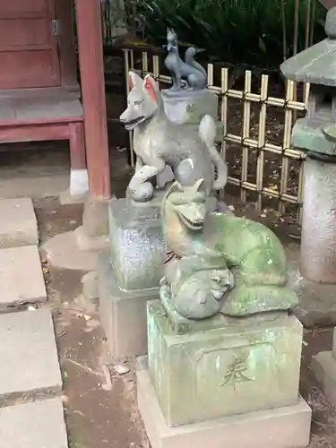 渋谷氷川神社の狛犬