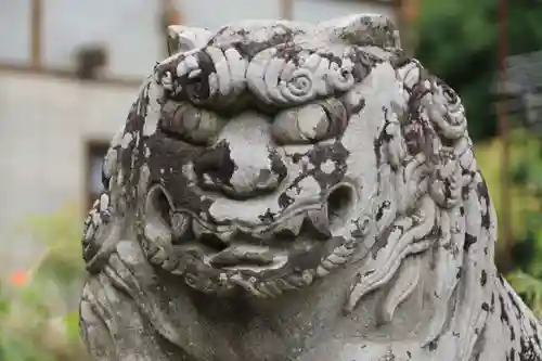 菅布禰神社の狛犬