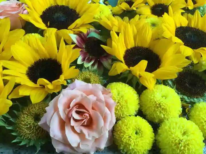 住吉神社の手水舎