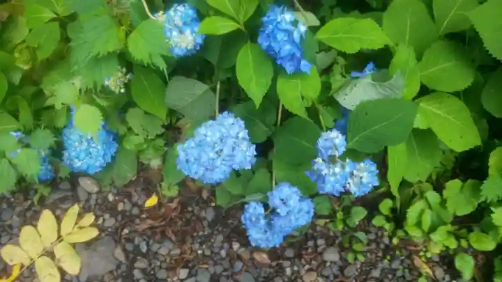 戸隠神社奥社(長野県)