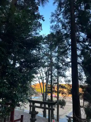 大宮温泉神社(栃木県)