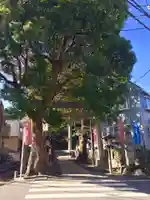 中目黒八幡神社の自然