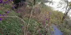 平野神社の自然