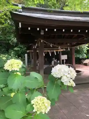 愛知縣護國神社の手水舎