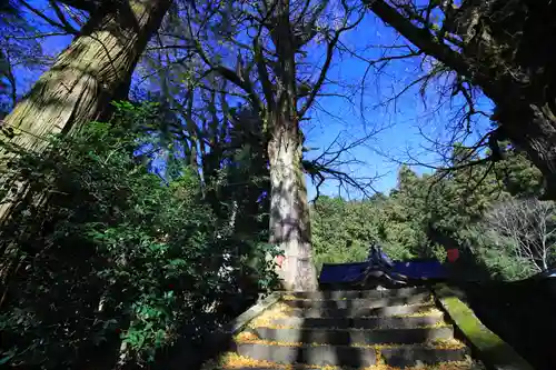 大石見神社の建物その他