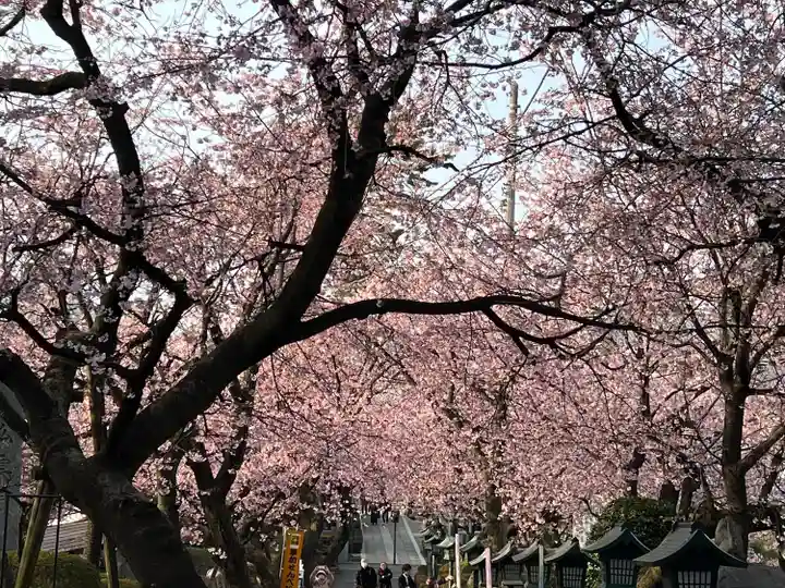 密藏院(埼玉県)