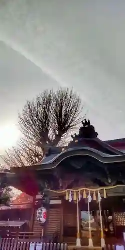 滝野川八幡神社(東京都)
