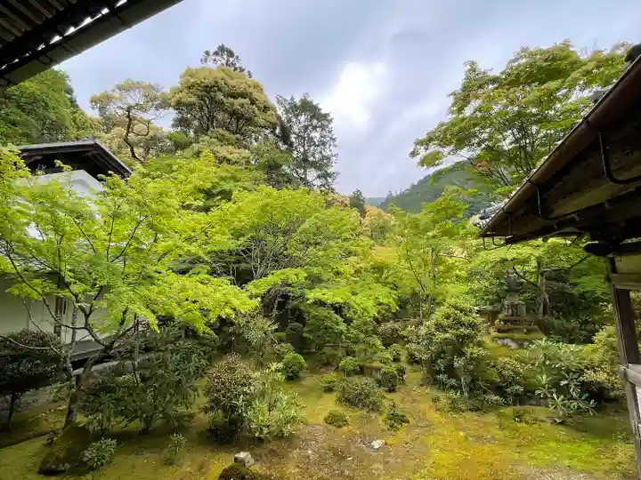 西明寺(京都府)