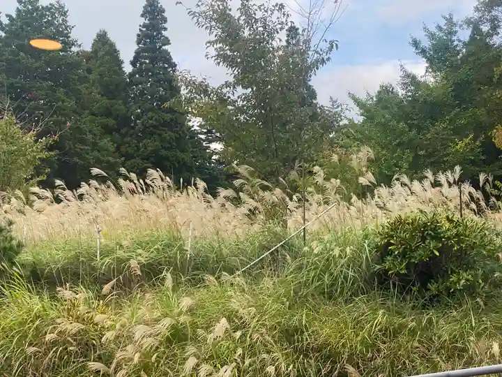 英彦山神宮(福岡県)