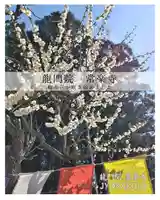 【公式】龍門院常楽寺(秩父札所十一番)(埼玉県)