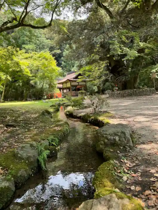 賀茂別雷神社(上賀茂神社)(京都府)