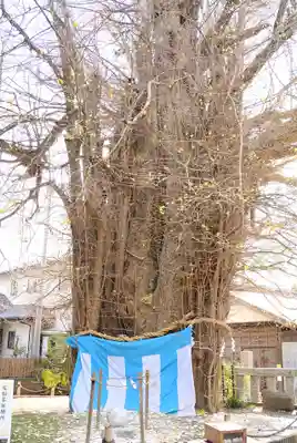 鶴嶺八幡宮(神奈川県)