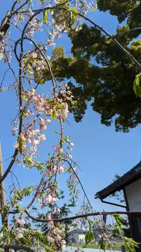玉田神社(京都府)