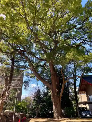 玉川神社(東京都)