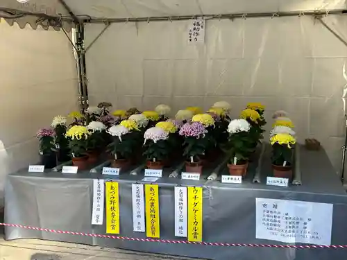 穂高神社本宮(長野県)