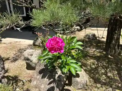 木舟山　順教寺(広島県)