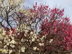 曽根天満宮の自然