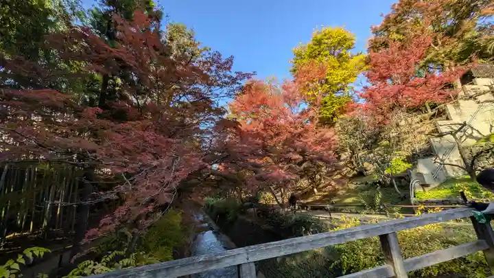 北野天満宮(京都府)