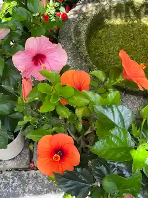 勝林寺(京都府)