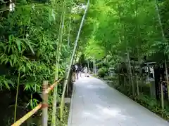 來宮神社の建物その他