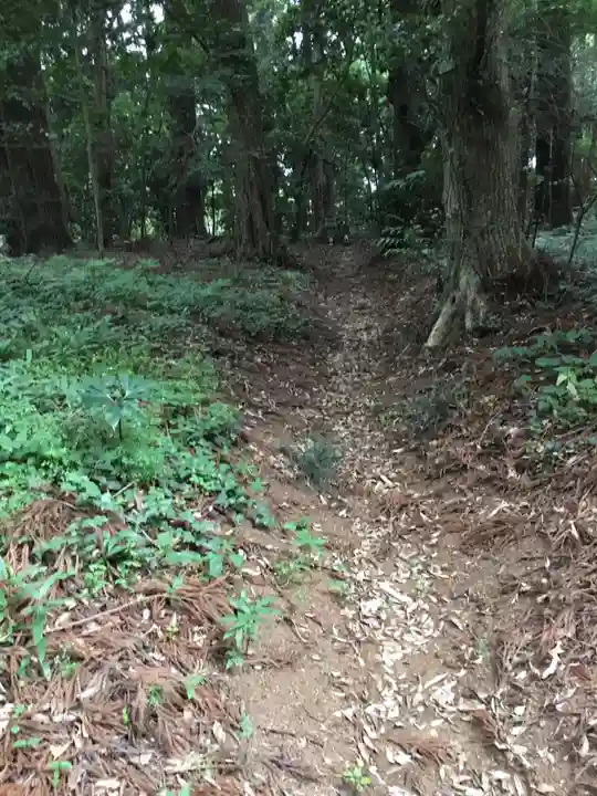 阿弥神社の自然