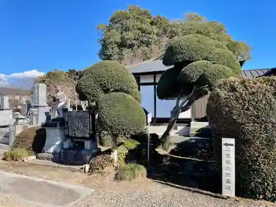 蓮城院(栃木県)