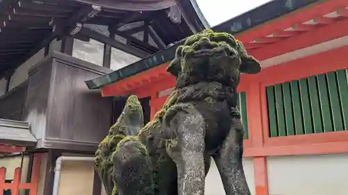 住吉神社の狛犬