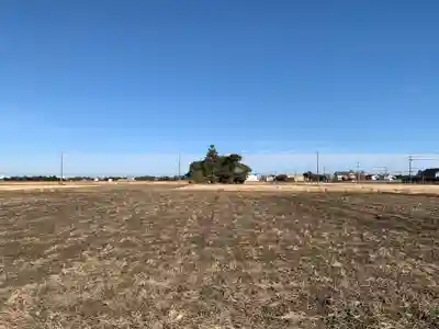 若宮八幡神社(千葉県)