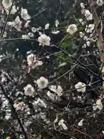 天安河原宮(宮崎県)