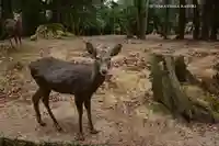 春日大社(奈良県)