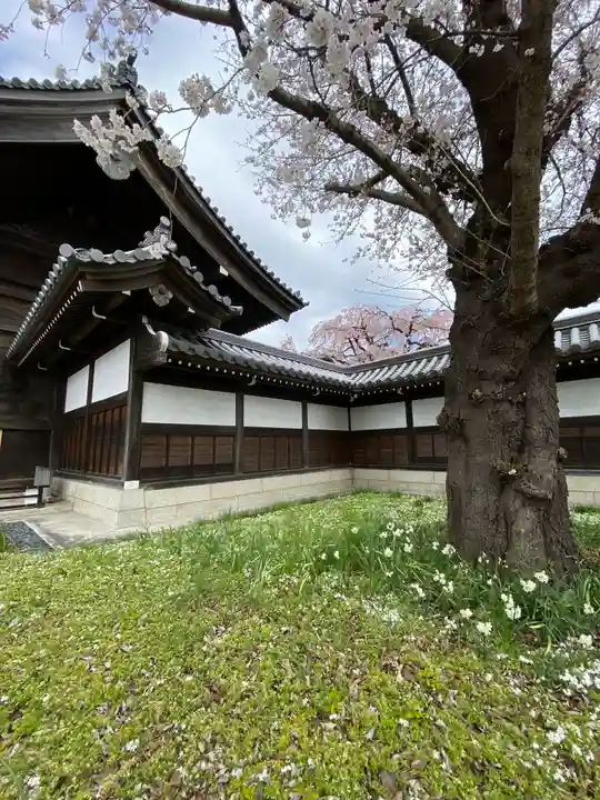 東郷寺(東京都)