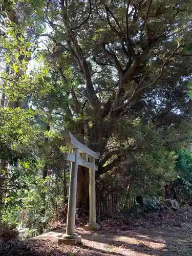 諏訪神社の鳥居