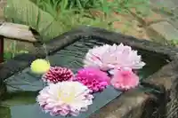 国宝 大法寺の手水舎