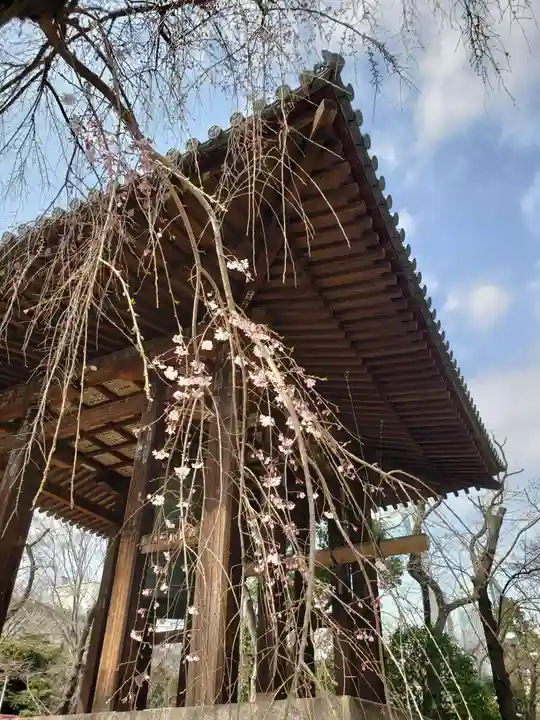 増上寺(東京都)