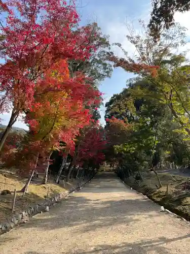 醍醐寺(京都府)