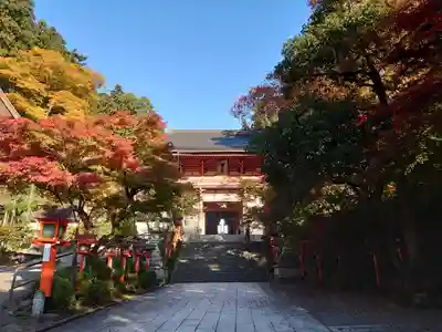 鞍馬寺(京都府)