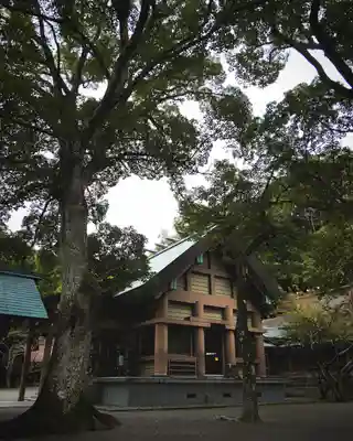 安房神社(千葉県)