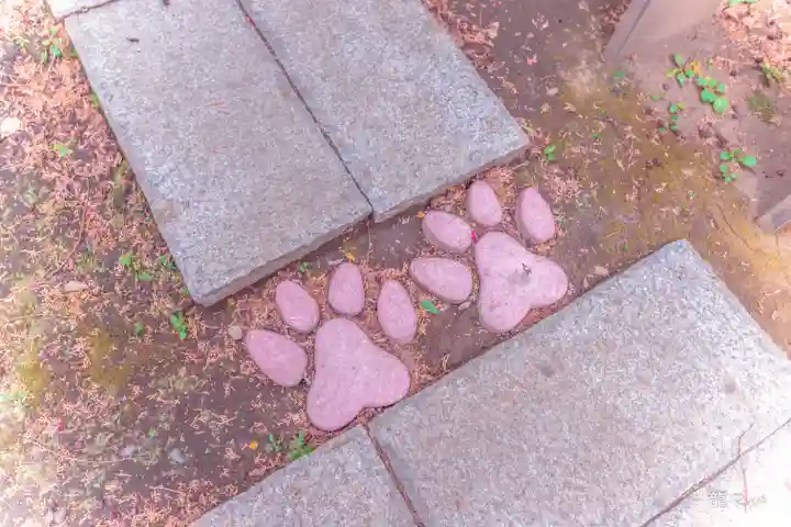 くまくま神社(導きの社 熊野町熊野神社)(東京都)