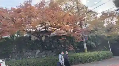 霊源院(京都府)