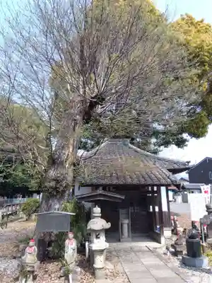 祇園山 徳城寺(愛知県)