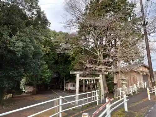 堀之内神社の鳥居