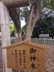 冠纓神社(香川県)