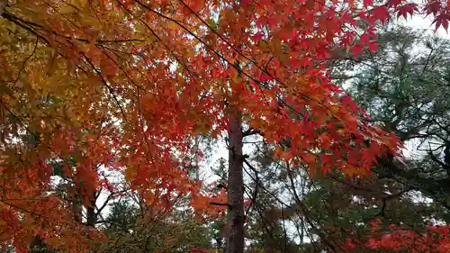 岩殿山安楽寺（吉見観音）の自然
