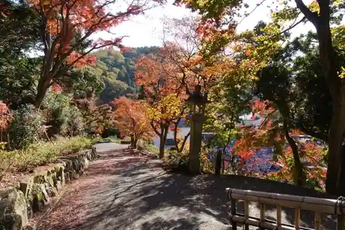 柳谷観音　楊谷寺の庭園