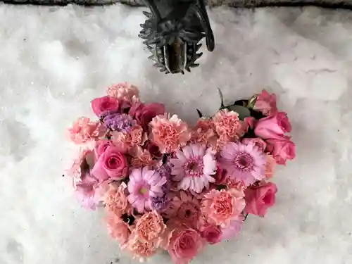 札幌諏訪神社の手水舎