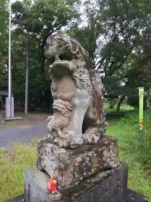 金村別雷神社の狛犬
